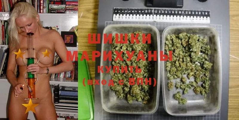 Марихуана SATIVA & INDICA  mega как войти  Зея  где купить наркотик 